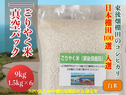 (1350)[令和6年度産先行予約]お米 白米 白米真空パック こしひかり 精米 9kg ごりやく米?「東後畑棚田こしひかり」?白米9kg?(白米真空パック1.5kg×6個)