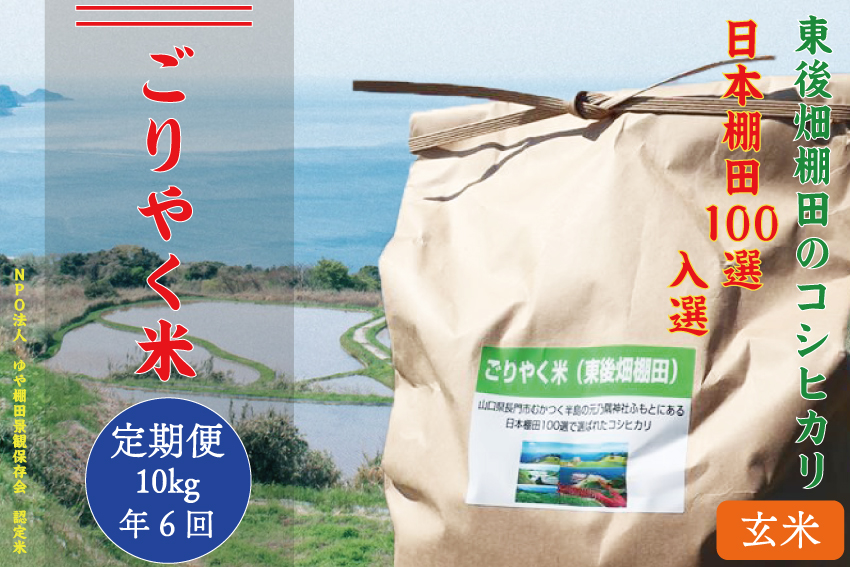 (120002)[定期便]※令和6年度産先行予約※お米 コシヒカリ 10kg「ごりやく米」棚田米 東後畑 玄米 毎月年6回