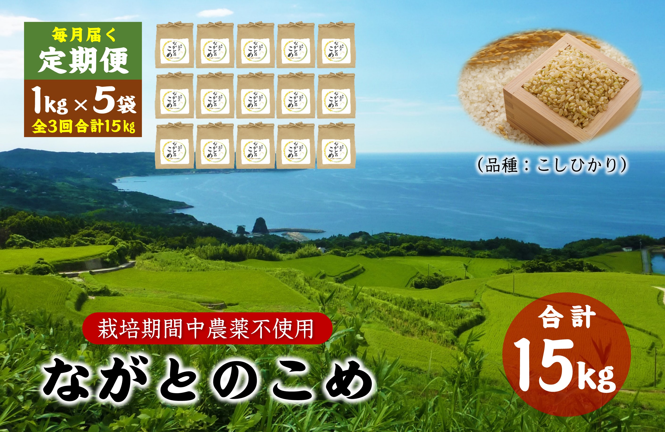 (1368)定期便 ながとのこめ コシヒカリ 玄米 1kg×5袋 合計5kg 毎月 全3回 合計15kg コシヒカリ 長門市