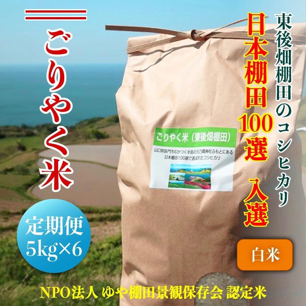 (1604)[定期便]※令和6年度産先行予約※お米 コシヒカリ 白米 5kg「ごりやく米」 棚田米 東後畑 白米 毎月年6回