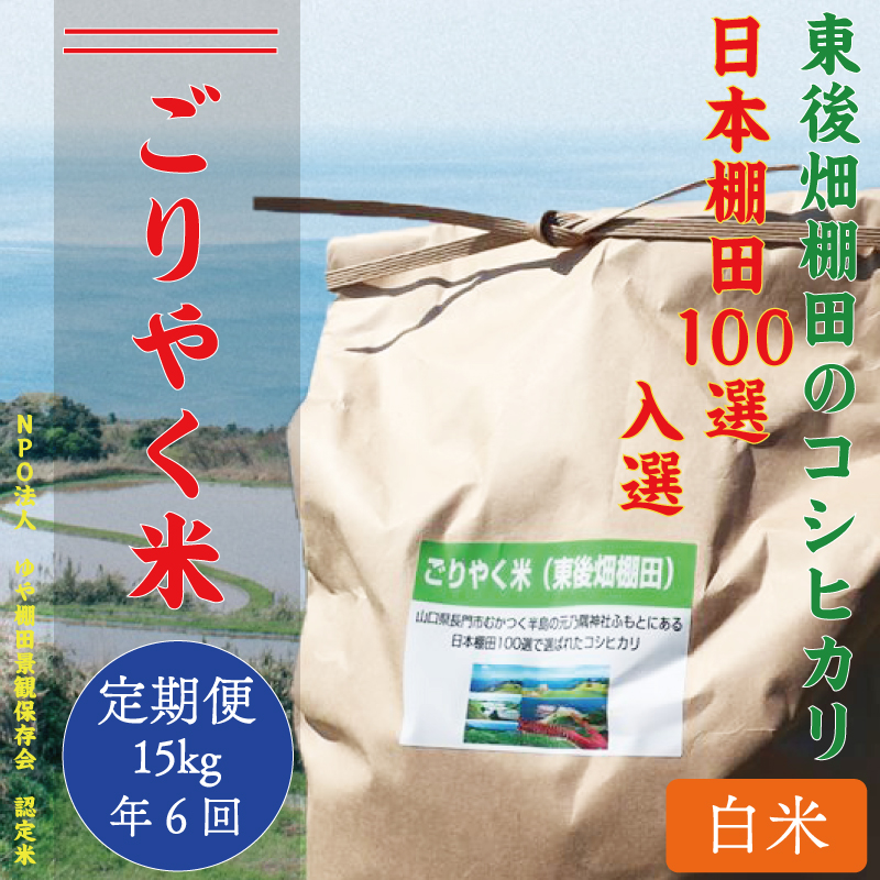 (180001)[定期便]※令和6年度産先行予約※お米 コシヒカリ 白米 15kg「ごりやく米」棚田米 東後畑 白米 毎月年6回