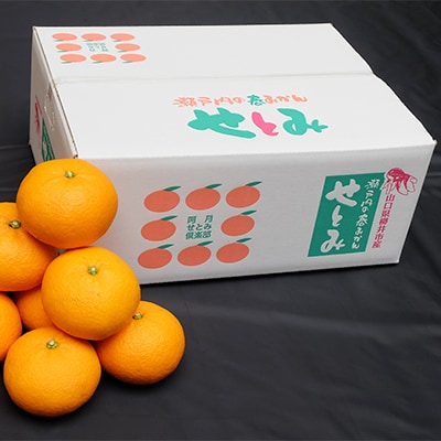 【山口県ブランド】瀬戸内の春みかん　せとみ　20玉～24玉(約4.5kg)