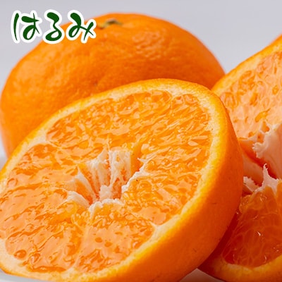 せとみ＆はるみの食べ比べ