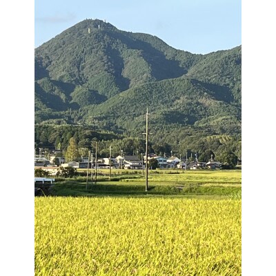 こしひかり　精米5kg