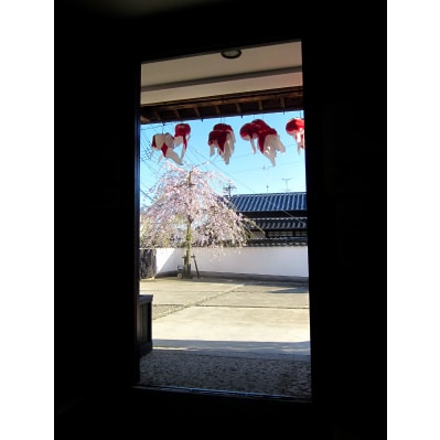 金魚ちょうちん　(中サイズ)