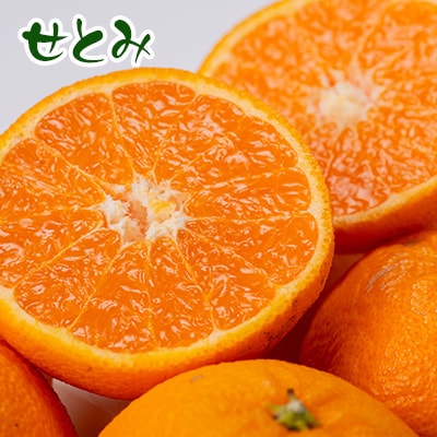 せとみ＆はるみの食べ比べ