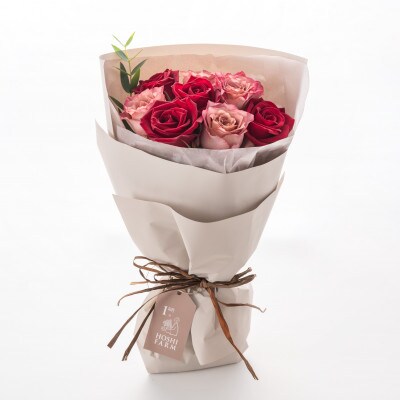 ホシファーム　フリルブーケ　ニュアンスレッド　8本【配送不可地域：離島】