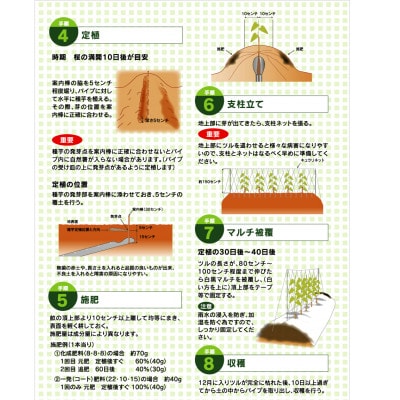 クレバーパイプ自然薯用