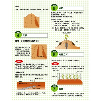 クレバーパイプ長芋用