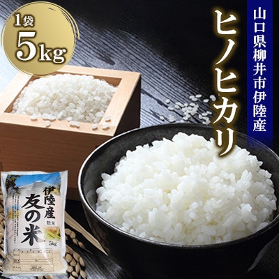 水稲うるち精米 5kg