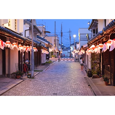 金魚ちょうちん(小)と甘露しょうゆ100mlのセット