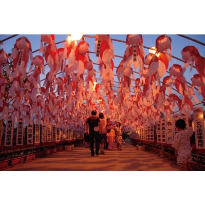 金魚ちょうちん　(中サイズ)