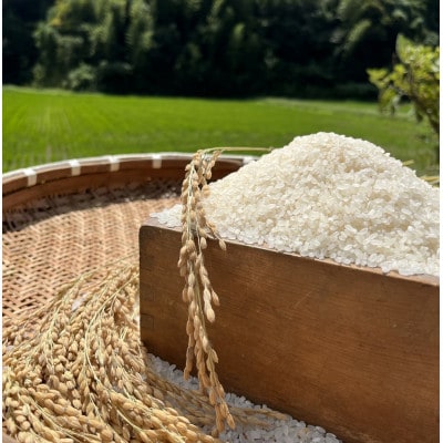 一等米5品種食べ比べ　少量真空パック450g×15個(5品種×各3個)