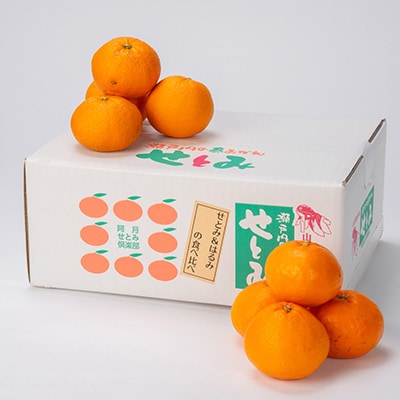 せとみ＆はるみの食べ比べ