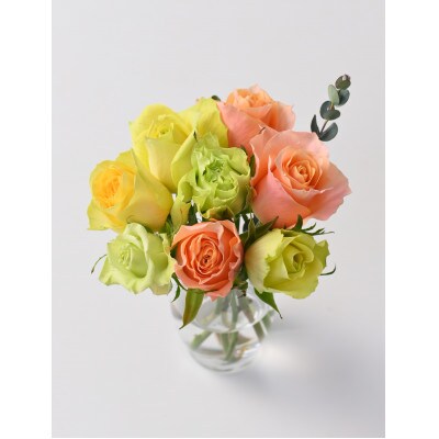 ホシファーム  フリルブーケ　パッション　8本【配送不可地域：離島】