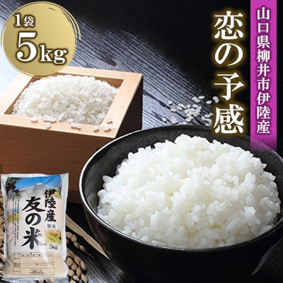 水稲うるち精米 5kg