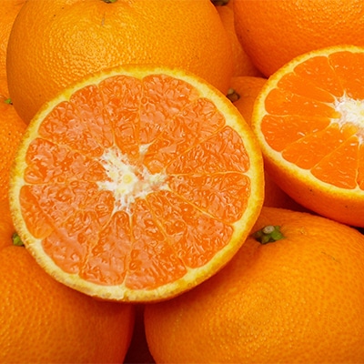 【山口県ブランド】瀬戸内の春みかん　せとみ　20玉～24玉(約4.5kg)