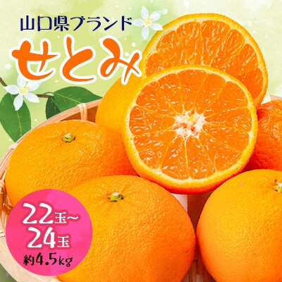 【山口県ブランド】せとみ　22～24玉(約4.5kg)