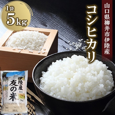 水稲うるち精米 5kg