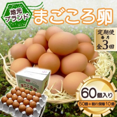 【毎月定期便】「地元ブランド」まごころ卵60個入り(卵50個と割れ保障10個)　鶏卵(生食用)全3回【配送不可地域：離島】