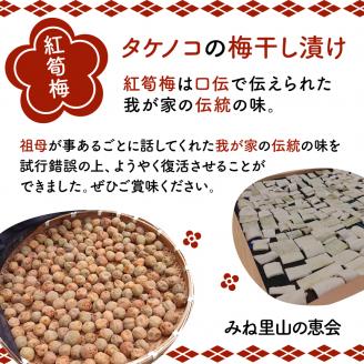紅筍梅 タケノコの梅干し漬け 紅白梅干しセット