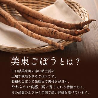 【数量限定】 美東ごぼう (4kg入り箱)　先行予約