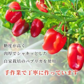 パプリカ調味料「マッサ」塩/甘＆ブルーベリージャム