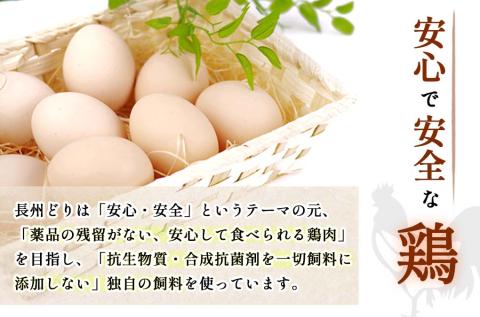 【定期便3回】長州どり もも 切り身 合計1.8kg (300g×6パック)