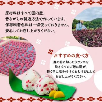 紅筍梅 タケノコの梅干し漬け 紅白梅干しセット