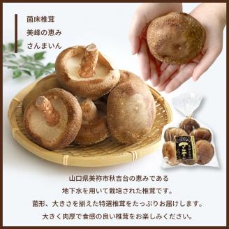 菌床椎茸 さんまいん及び加工品詰め合わせ