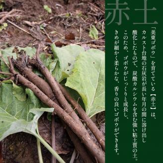 【数量限定】 美東ごぼう (4kg入り箱)　先行予約