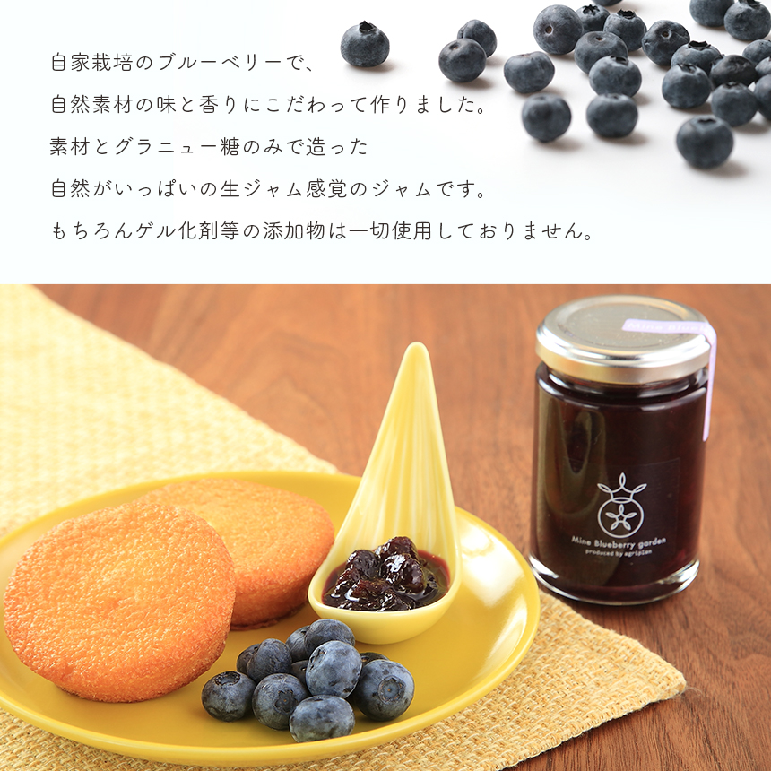 ブルーベリージャム3本セット
