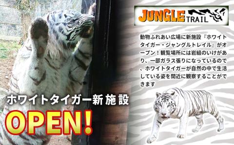 秋吉台サファリランド 年間フリーパス引換券(大人)