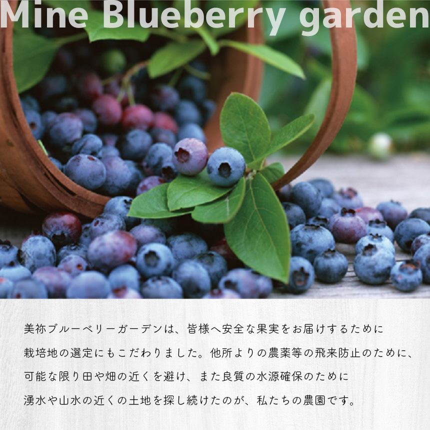 ブルーベリーと山口県の季節のジャム3本セット