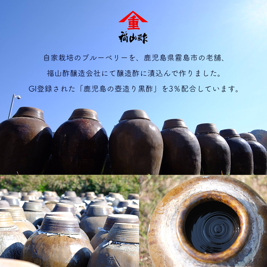 ブルーベリーヴィネガー黒酢入り