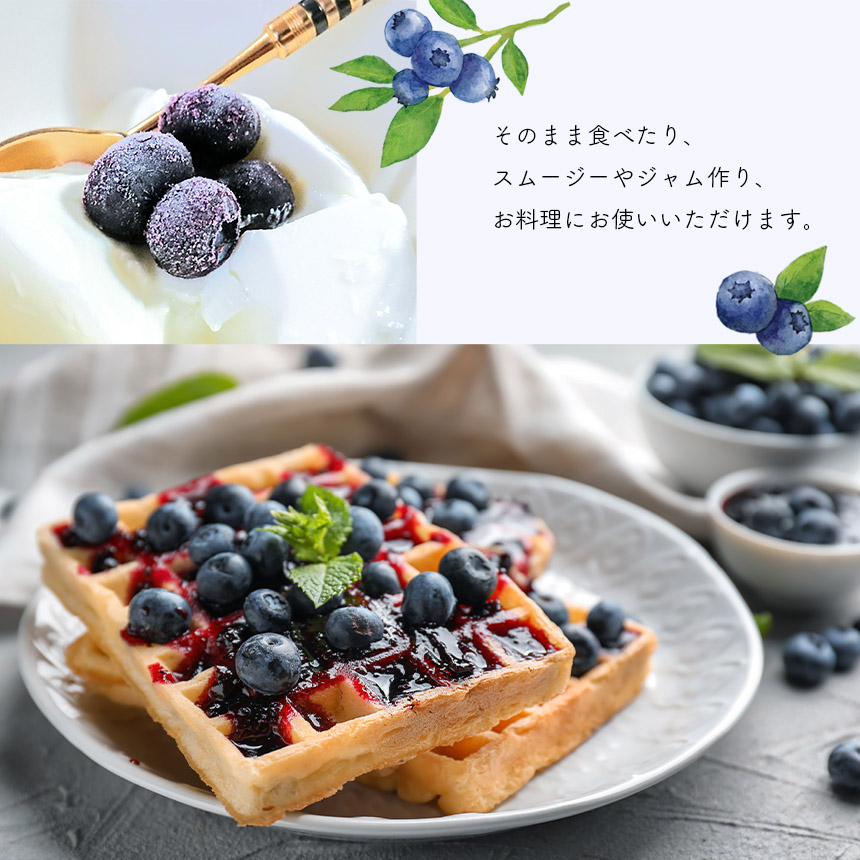 冷凍ブルーベリー (加工用)