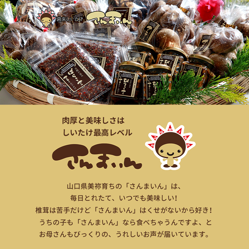 菌床椎茸 さんまいん及び加工品詰め合わせ