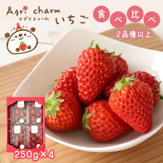  秋吉台のミネラルたっぷり!! Agri charmの いちご 食べ比べセット ( 2品種 以上× 4パック ) 先行予約 ＜ 2026年2月下旬 ~ 4月下旬頃の期間で順次発送予定＞ ｜ いちご 苺 イチゴ フルーツ 果物 食べ比べ 美祢市 山口県 美祢 秋吉台 糖度 甘い 期間限定