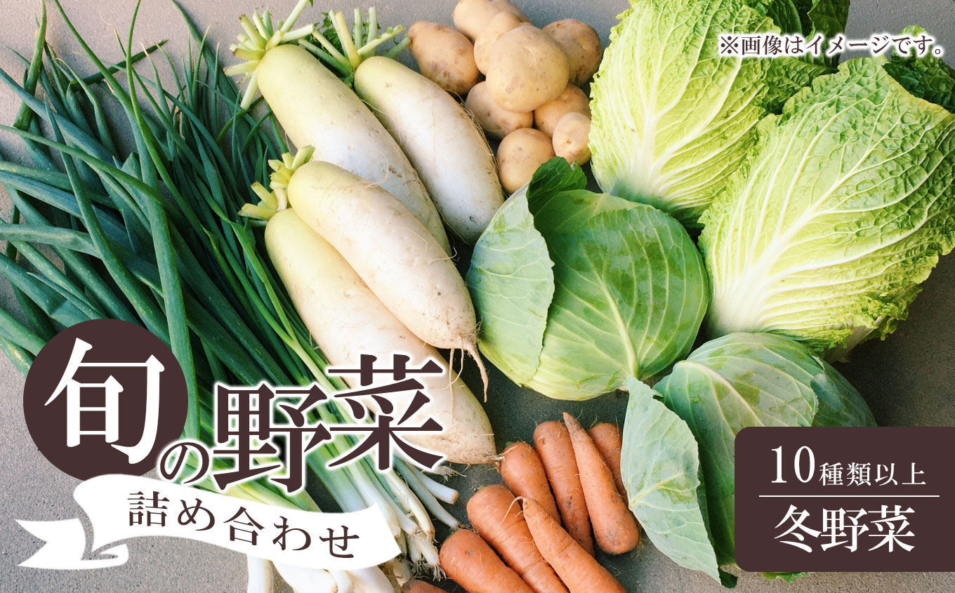 美祢市産 冬野菜の詰め合わせセット