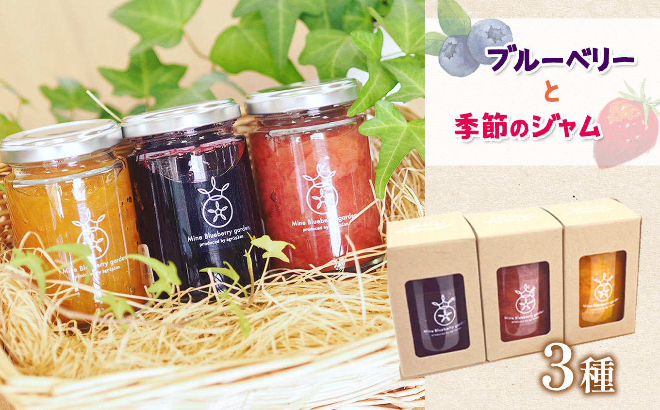 ブルーベリーと山口県の季節のジャム3本セット