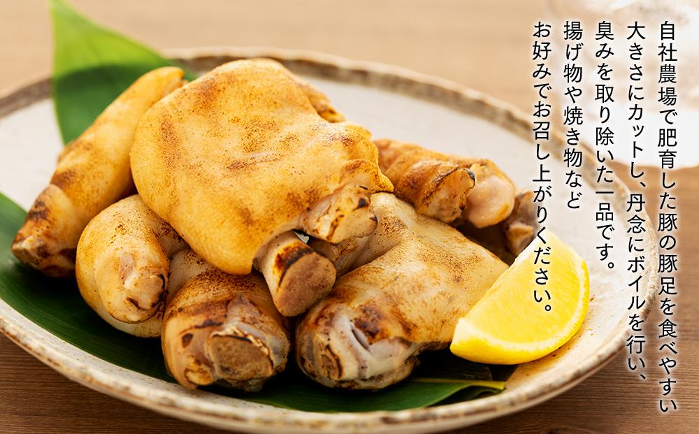 女性に人気！コラーゲン豊富な柔らか豚足4分割（約2kg）