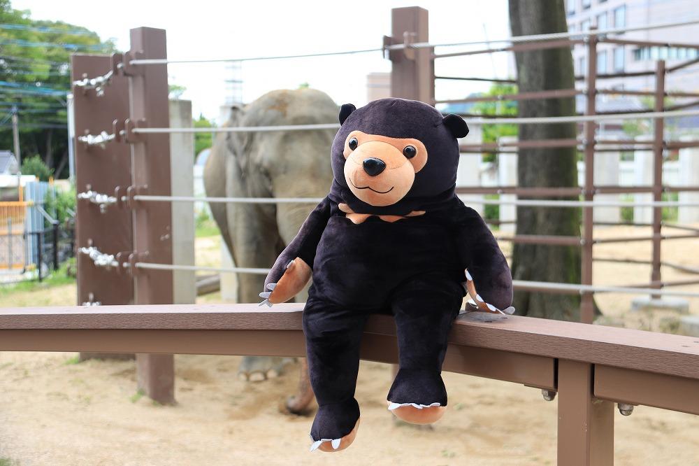 周南のほほんマレーグマ