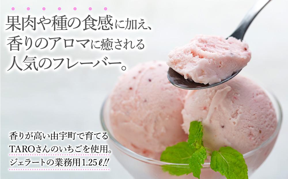 【訳あり】いちごミルク ジェラート 1.25リットル【TAROいちごミルク 大容量 アイス 業務用 スイーツ 人気 デザート 冷凍 氷菓子 1.25L 家族 ファミリーサイズ 苺】