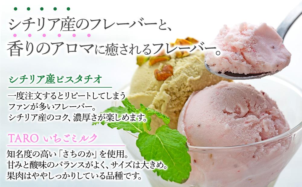 【数量限定】ジェラート 500ml×2種 食べ比べ  シチリア産 ピスタチオ TAROいちごミルク【大容量 アイス 業務用 セット 合計 1リットル スイーツ 人気 デザート 冷凍 氷菓子 家族 ファミリーサイズ 苺】