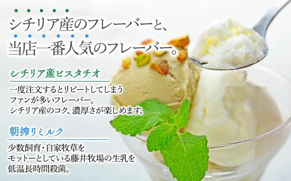 【数量限定】ジェラート 500ml×2種 食べ比べ  シチリア産 ピスタチオ 朝搾りミルク【大容量 アイス 業務用 セット 合計 1リットル スイーツ 人気 デザート 冷凍 氷菓子 家族 ファミリーサイズ】