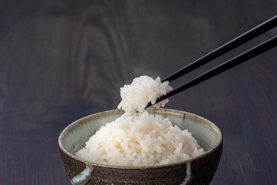 【年内配送】3日以内発送 令和7年産 コシヒカリ 10 kg(5kg×2) 鹿野高原米 精米