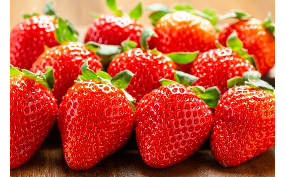 【先行予約12月下旬以降発送】極甘イチゴ よつぼし ２段箱(約800ｇ～900ｇ） 大粒完熟つみとり