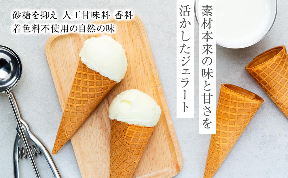 【訳あり】ミルク ジェラート 1.25リットル【大容量 アイス 業務用 スイーツ 人気 デザート 冷凍 氷菓子 1.25L 家族 ファミリーサイズ 朝搾りミルク】