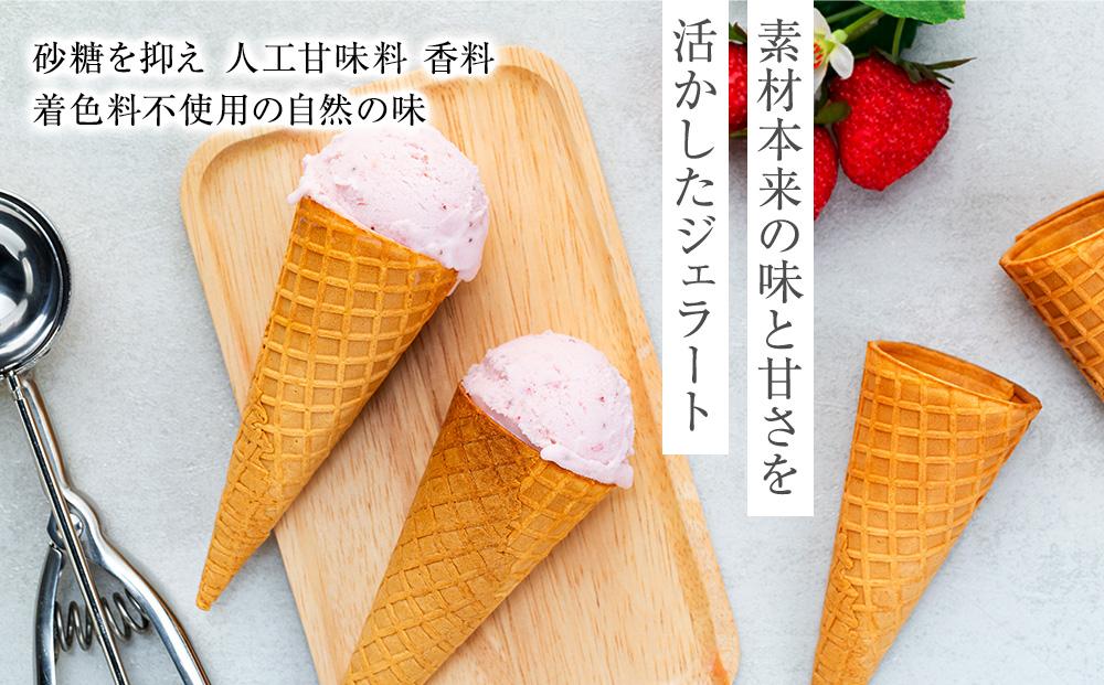 【訳あり】いちごミルク ジェラート 1.25リットル【TAROいちごミルク 大容量 アイス 業務用 スイーツ 人気 デザート 冷凍 氷菓子 1.25L 家族 ファミリーサイズ 苺】