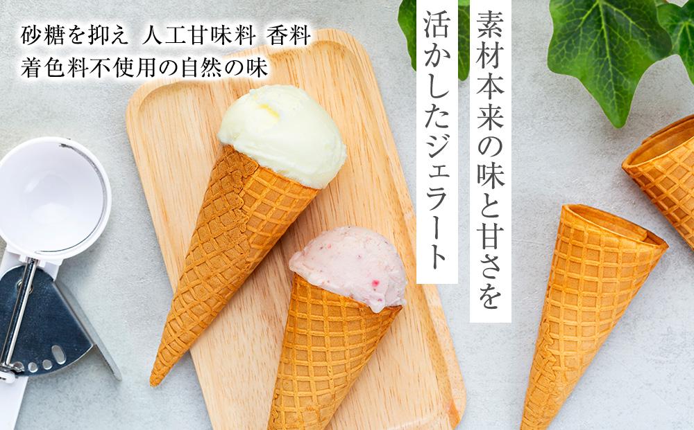 【数量限定】ジェラート 500ml×2種 食べ比べ 朝搾りミルク TAROいちごミルク【大容量 アイス 業務用 セット 合計 1リットル スイーツ 人気 デザート 冷凍 氷菓子 家族 ファミリーサイズ 苺】